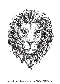 hand-drawn vector sketch of a lion's head