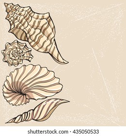 hand-drawn vector sketch of seashell 