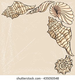 hand-drawn vector sketch of seashell 