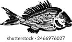 Hand-drawn vector sketch of the snapper fish