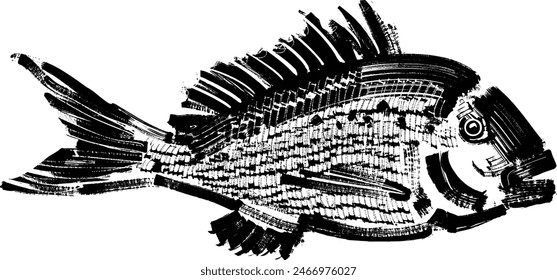 Hand-drawn vector sketch of the snapper fish