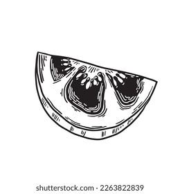 Hand-drawn vector tomato. Monochrome drawing in the style of engraving. Clipart