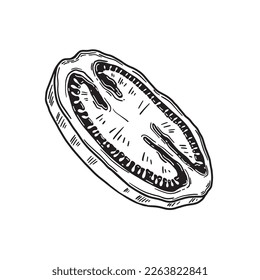 Tomate vector dibujado a mano. Dibujo monocromo en el estilo de grabado. Clipart