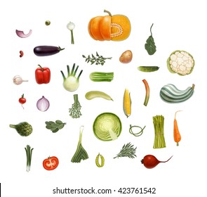 Hand-drawn vector vegetables, isolated on transparent background: tomato, spinach, vegetable marrow, corn, rosemary, green peas, beet, olive, eggplant, salad,  onion, leek, potato, carrot, and so on