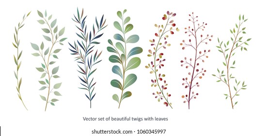Handdrawn Vector Watercolour style, nature illustration. Set of  leaves and branches, Imitation of watercolor, isolated on white. 