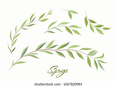 Handdrawn Vector Watercolour style, nature illustration. Set of  leaves and branches, Imitation of watercolor, isolated on white. 