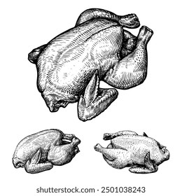 Hand-drawn vector of whole uncooked chickens, top and side views