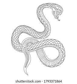 Stylized Snake Images, Stock Photos & Vectors | Shutterstock