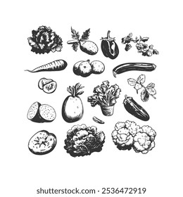 Coleção de legumes desenhada à mão Ilustração: abobrinha, berinjela, alface, ervas e outros vegetais frescos em esboço preto e branco detalhado para marca de alimentos orgânicos, menus e embalagem