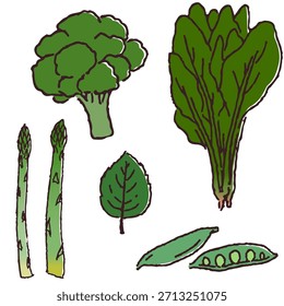 Conjunto de verduras dibujadas a mano: verduras verdes