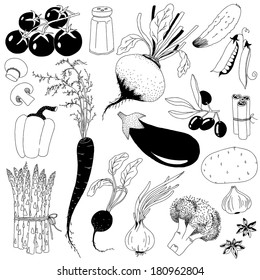 hand-drawn vegetables