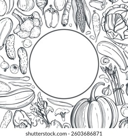 Hand-drawn vegetables on white background  Vector background. Sketch  illustration.  