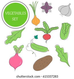 Hand-drawn vegetables, vegetable set is suitable for background