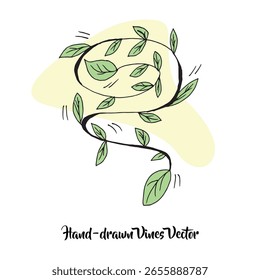 hand-drawn vine art vector graphic illustration