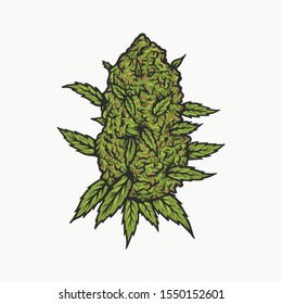 Handdrawn vintage cannabis bud vector illustration