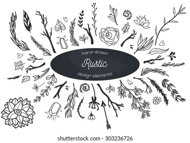 Hand-drawn vintage decorative plants and flowers collection. Monochrome design elements, great for cards, posters, invitation, print.