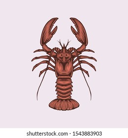 Handdrawn vintage lobster vector illustration