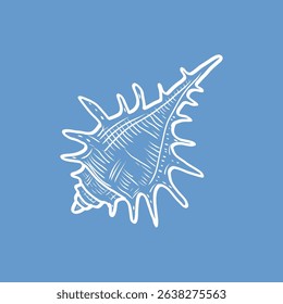 Hand-drawn vintage seashell vector illustration on blue background perfect for nautical decor, posters, and digital artwork.