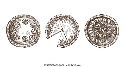 Hand-drawn vintage set of traditional cakes and pies sketch. Sweet bakery, fruit, berries, pumpkin. Top view. Vector collection of ink baking illustration. Food for Thanksgiving, Christmas.