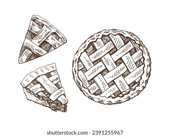 Hand-drawn vintage set of whole and pieces of traditional apple pie sketches. Sweet bakery, fruit, berries. Top view. Vector collection of ink baking illustration. Food for Thanksgiving, Christmas.