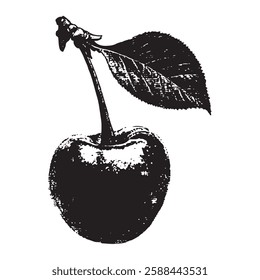 hand-drawn vintage vector illustration of a cherry with a leaf, perfect for organic food, botanical, farm, and retro-style designs