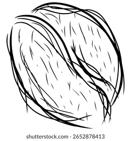  nozes desenhadas à mão em estilo de esboço preto. grão de café esboçado