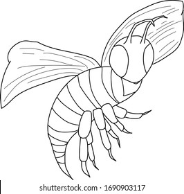 wasp logo clothing