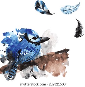 Hand-drawn watercolor bird jay and  feathers