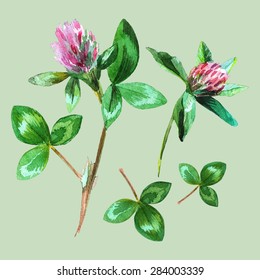 hand-drawn watercolor clover