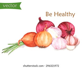 Hand-drawn watercolor food illustration of organic products: different onion and garlic isolated on the white background in vector