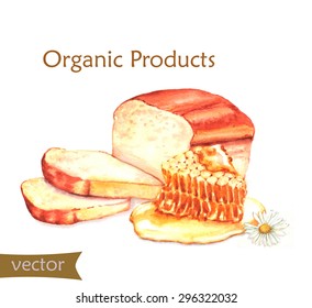 Hand-drawn watercolor food illustration of organic products: fresh bread and honey isolated on the white background in vector