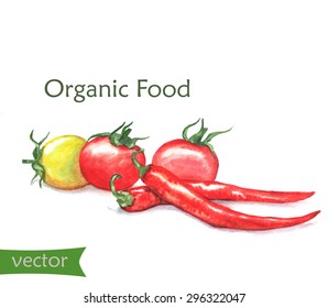 Hand-drawn watercolor food illustration of organic products: ripe cherry tomatoes and chili peppers isolated on the white background in vector