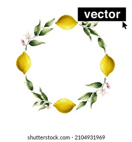Hand-drawn watercolor painting lemon frame on white background. Vector illustration of green leaves, flowers, buds, and branches. Citrus fruit slices and splashing juice arrangements.