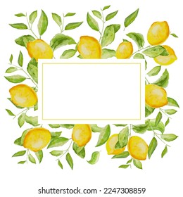 Hand-drawn watercolor painting lemon frame on white background. Vector illustration of green leaves, flowers, buds, and branches. Perfect for background for greetings, birthdays, mothers day cards.