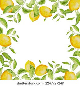 Hand-drawn watercolor painting lemon frame on white background. Vector illustration of green leaves, flowers, buds, and branches. Perfect for background for greetings, birthdays, mothers day cards.