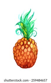 Hand-drawn watercolor pineapple. Isolated vector fruit illustration.