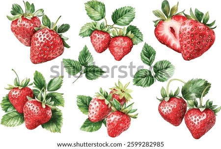 Hand-Drawn Watercolor Strawberry - Realistic Organic Fruit Vector