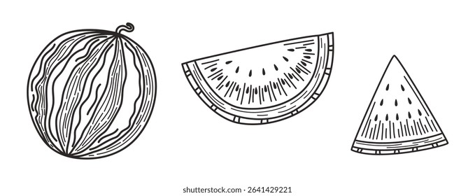 Hand-drawn watermelon illustration. Whole fruit and slices. Vintage sketch style. For labels, packaging, prints, or summer-themed design.