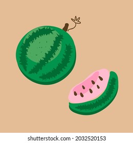 A hand-drawn watermelon and its slice vector illustration. Perfect for T-shirt, textile and prints.  
