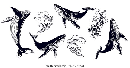 Hand-drawn Whale and Ocean Wave Set — Vintage Marine Vector Illustrations in Engraving Style