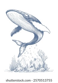 Hand-Drawn Whale Vector Illustration in Detailed Sketch Style