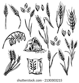 Hand-drawn wheat. Cereal plants in a bag and cereals in a bowl, rye barley and ears of wheat. Sketch sketch sketch for food packaging template, food engraving 