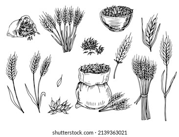 Hand-drawn wheat. Cereal plants in a bag and cereals in a bowl, rye barley and ears of wheat. Sketch sketch sketch for food packaging template, food engraving