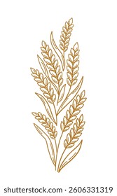 Hand-Drawn Wheat Ornament Element Design - Golden Floral Frame