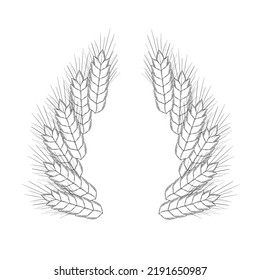 Hand-drawn wheat spikelets, sketch. Vector illustration of wheat frames. Simple pencil style.