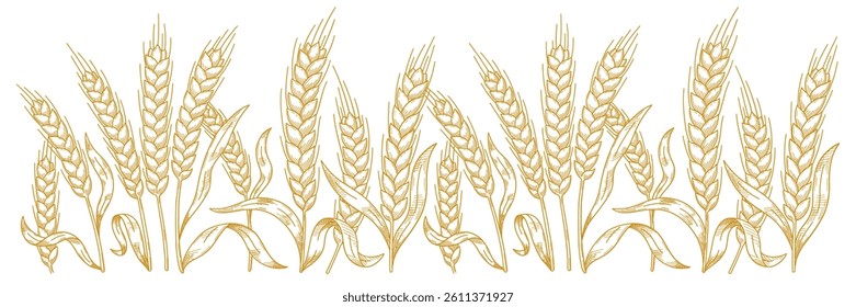 Hand-Drawn Wheat Stalks Vector Illustration