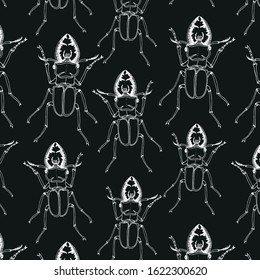 hand-drawn white deer beetles on black