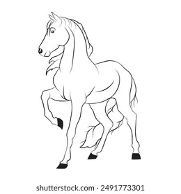 Hand-drawn white horse illustration, Vector line art of beautiful horse, An element for creating company brand
