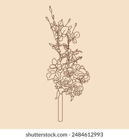Hand-drawn white roses flowerpot vector drawing