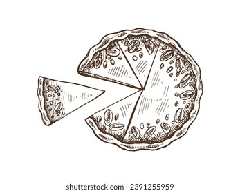 Hand-drawn whole and piece of traditional pumpkin pie with pecan nuts sketch. Vector illustration of baking. Top view food for recipes, restaurant. Traditional food for Thanksgiving, Christmas.
